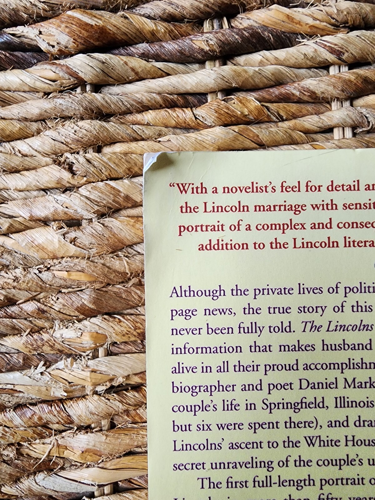 The Lincolns: Portrait of a Marriage Paperback By Epstein, Daniel Mark