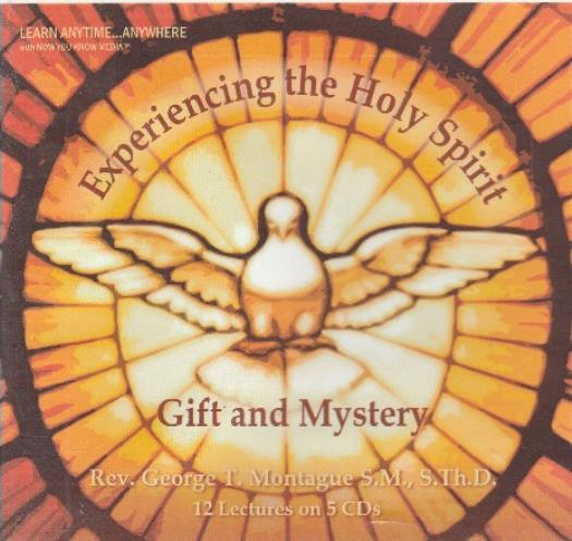 Learning the Theology Of The Holy Spirit 5-Disc Set AUDIO BOOK CD Christian God