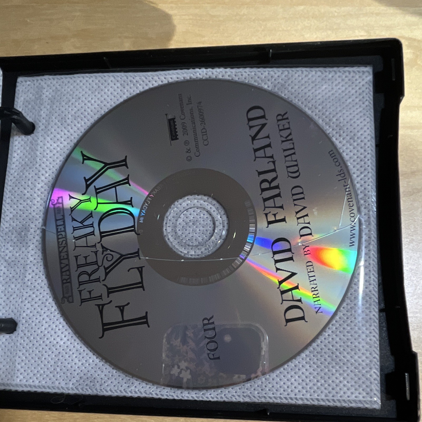 Freaky Flyday (Ravenspell) Unabridged Audiobook CD David Farland 5.5hr