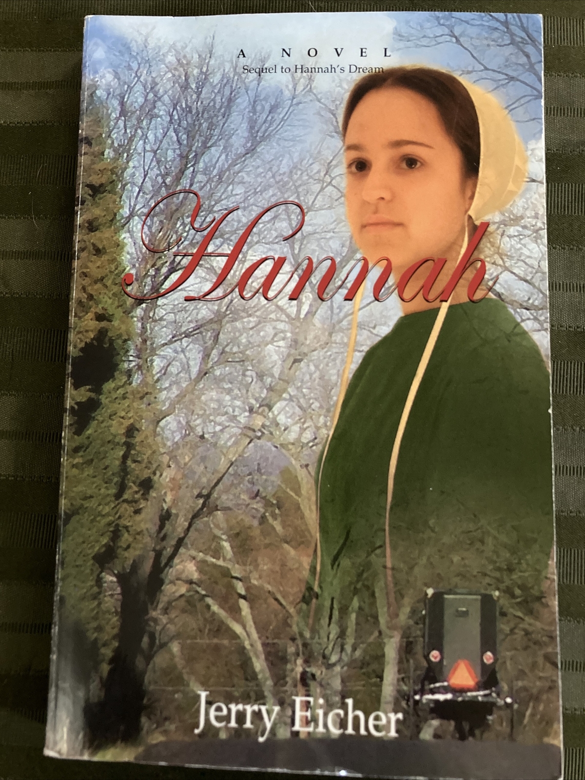 Hannah by Eicher, Jerry Amish Fiction Horizon Books Novel 2009 9780978798741