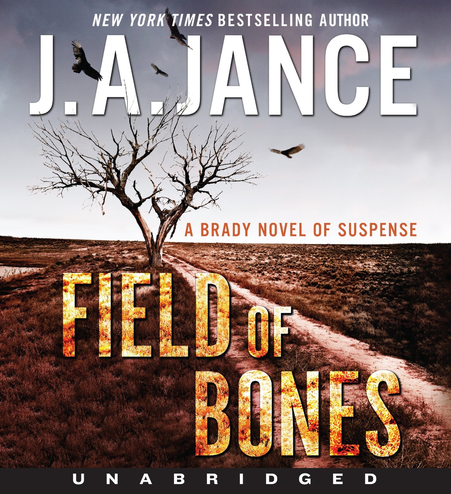 Field of Bones: A Brady Novel of Suspense (Joanna Brady)