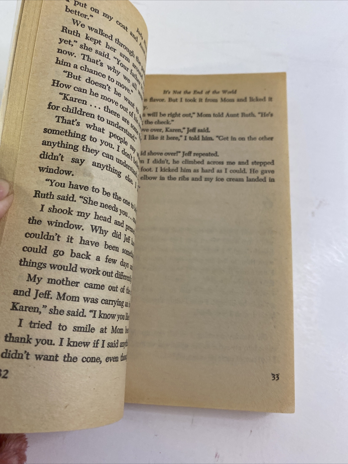 It’s Not the End of the World — Judy Blume (1979, Paperback)