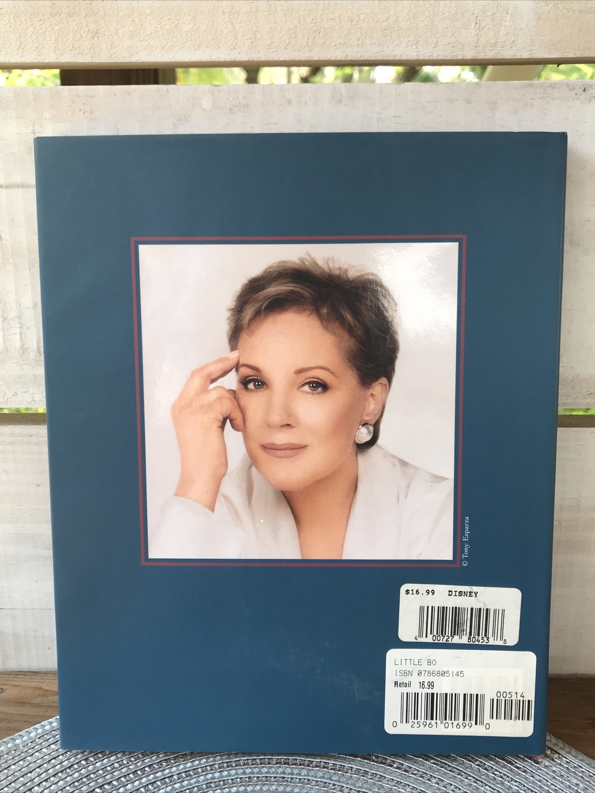 1999 Vtg 1st Edition LITTLE BO Story of Bonnie Boadicea Julie Andrews Edwards HB