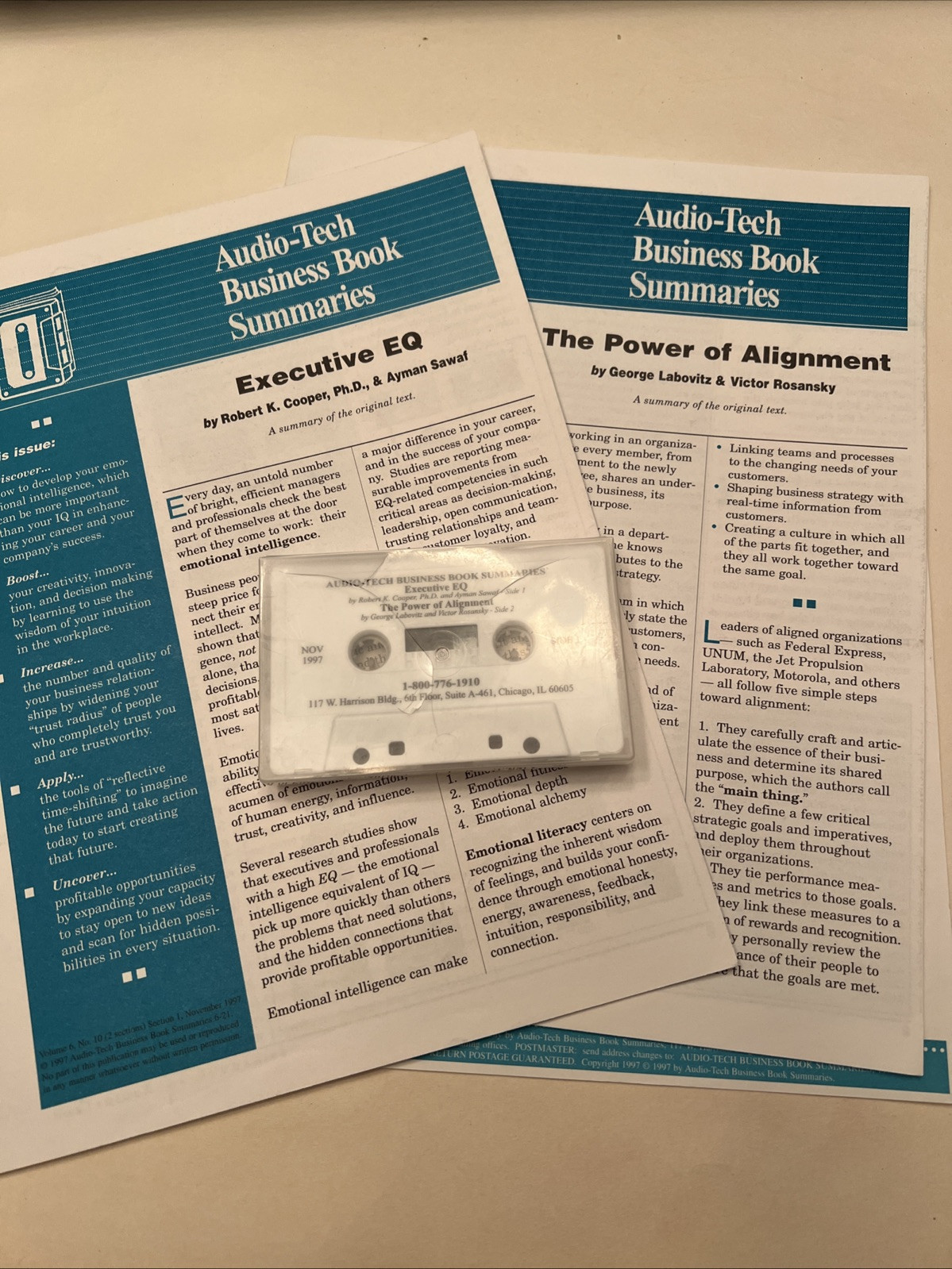 Executive EQ & The Power of Alignment Audiobook Vintage 1998