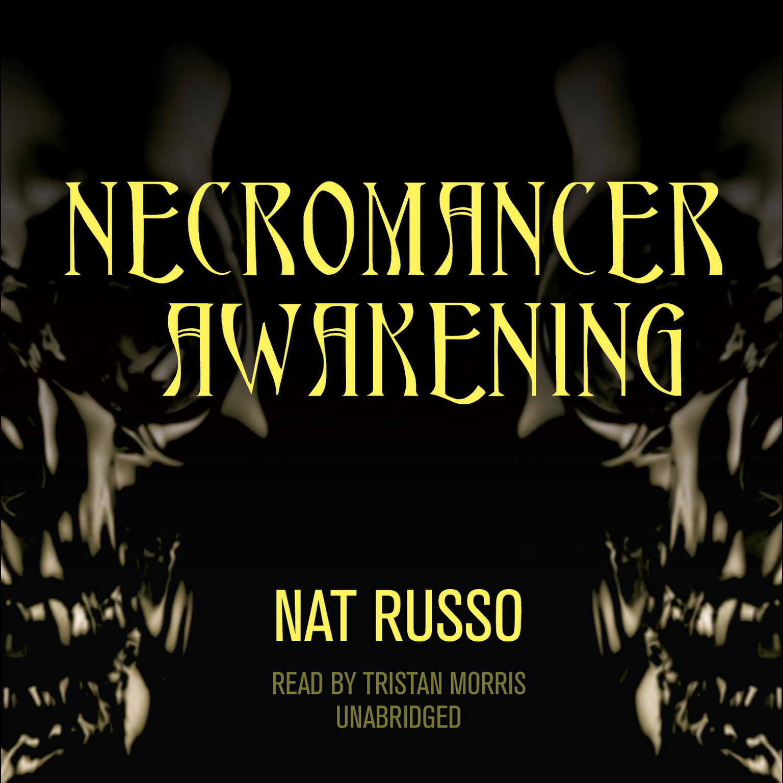 Necromancer Awakening by Nat Russo 2015 Unabridged CD 9781481509718