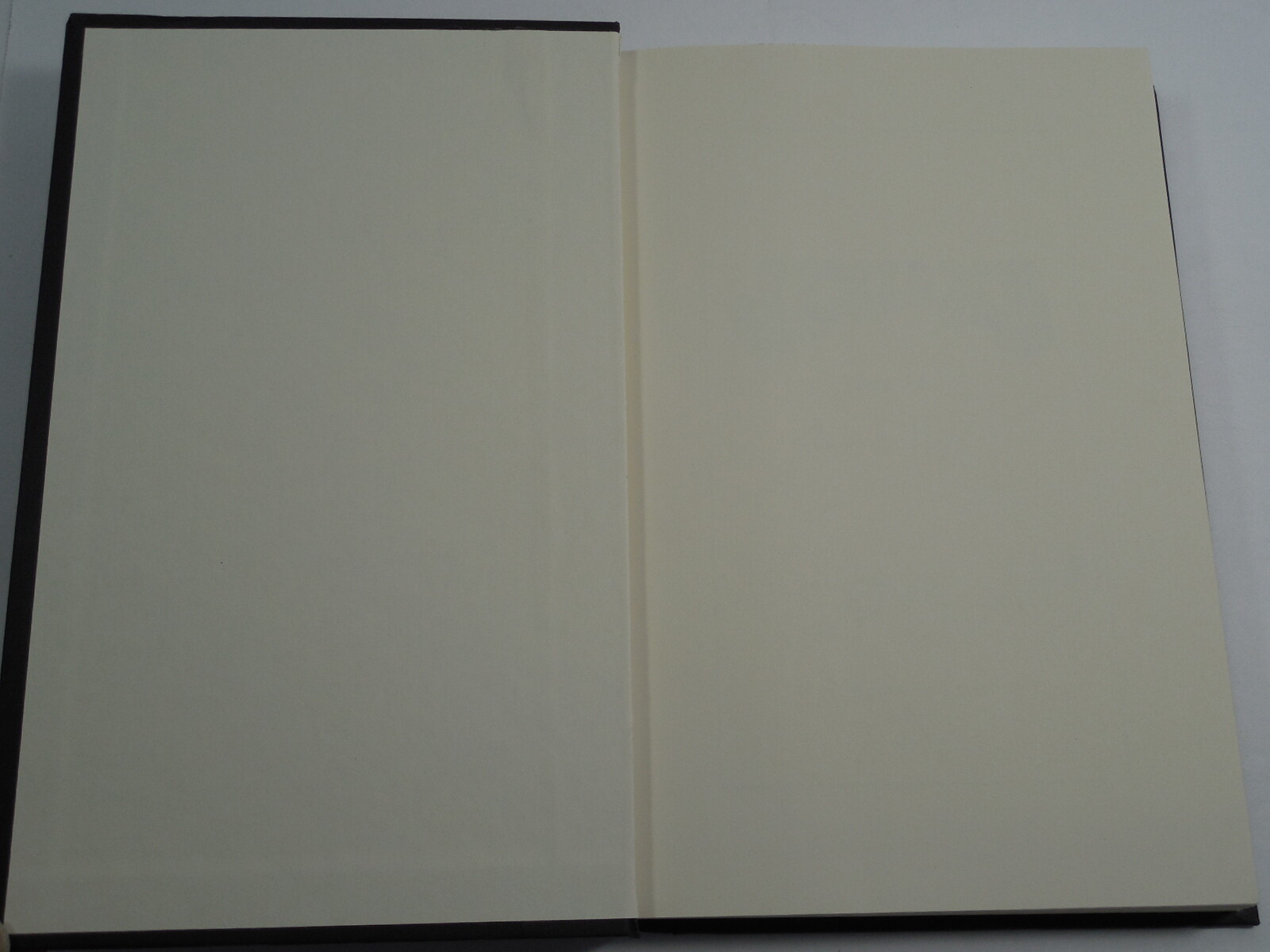 Jimi & Me by Jaime Adoff, 2005, 1st Edition, Signed (not Inscribed), Like New