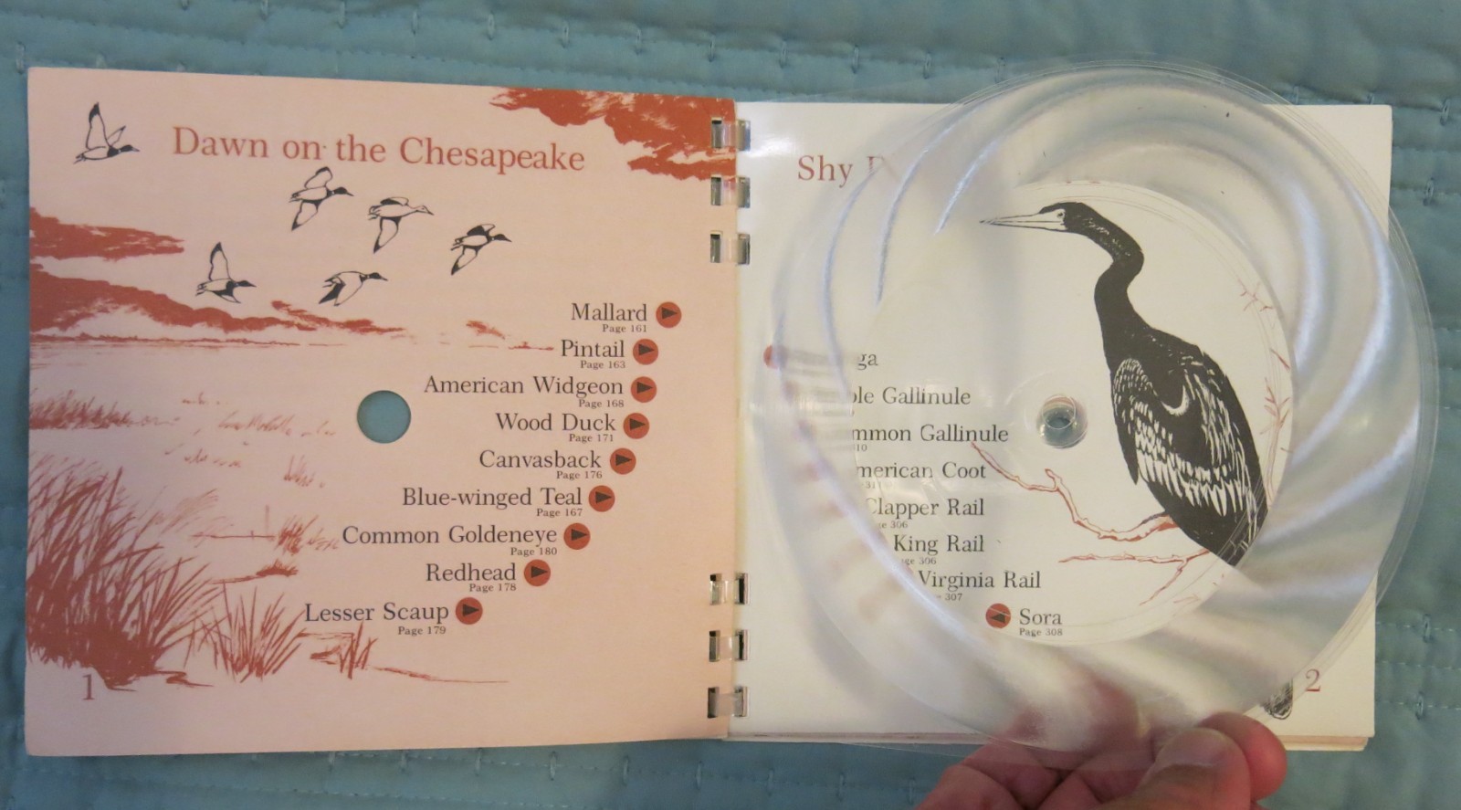 BIRD SOUNDS — 5 Flexi-Discs by Peter Kellogg 1965 NGS