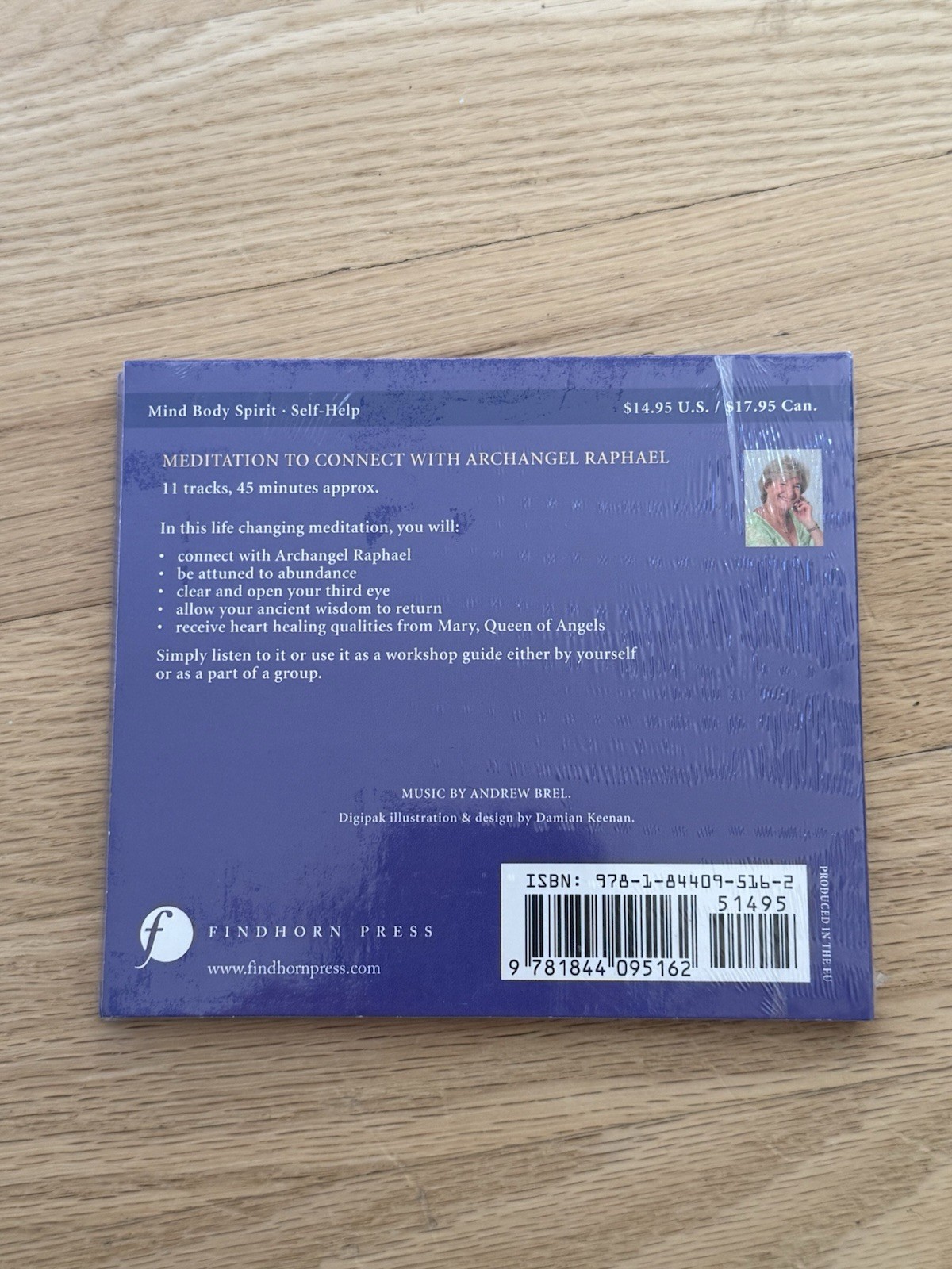 Meditation to Connect with Archangel Raphael by Diana Cooper (CD, 2010) New