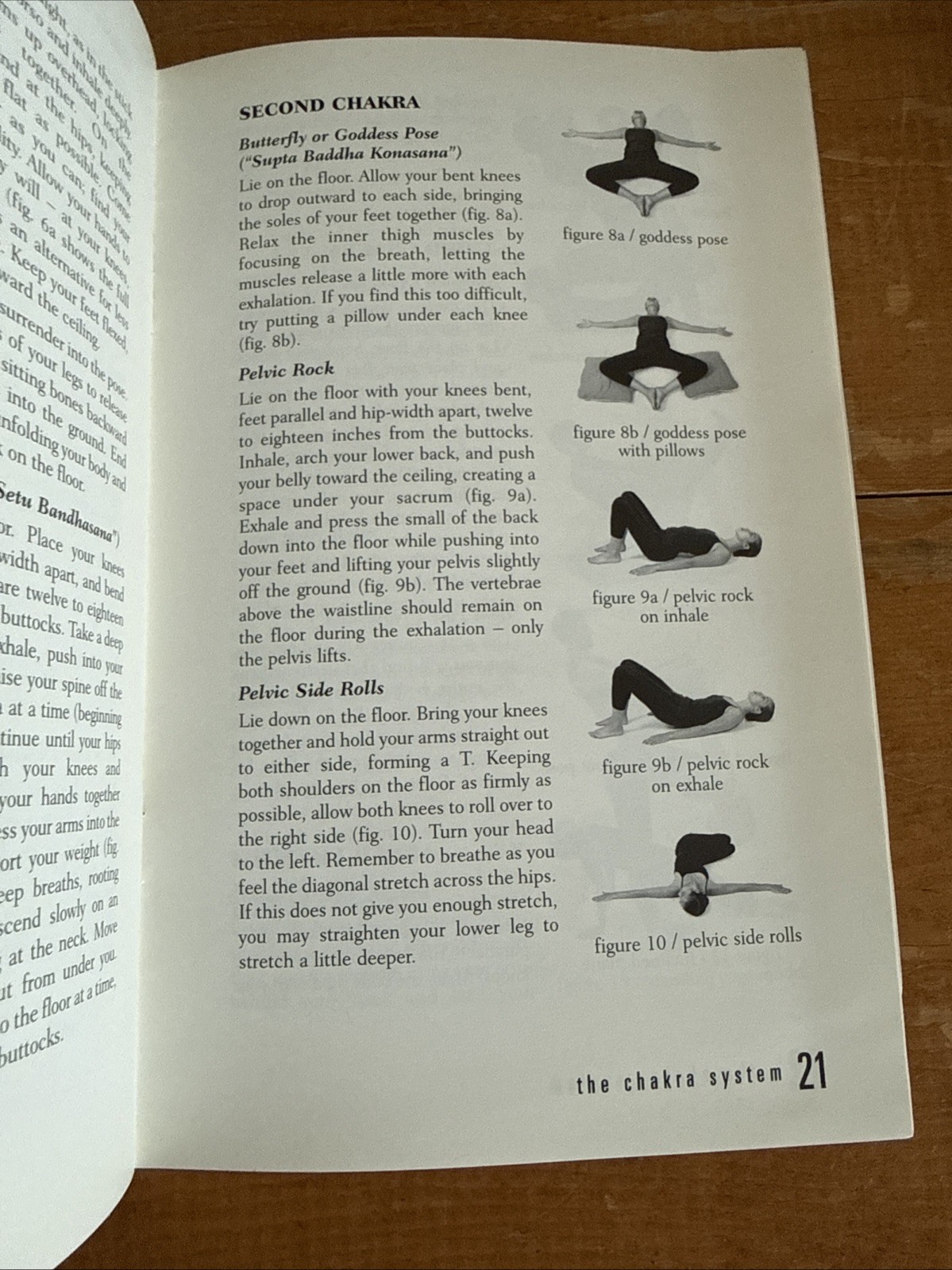 Chakra System : A Complete Course in Self-Diagnosis and Healing by Anodea Judith