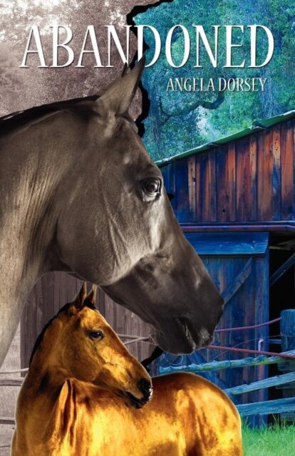 Dorsey — Abandoned A Time Travel Horse Adventure — New paperback or s — X555z