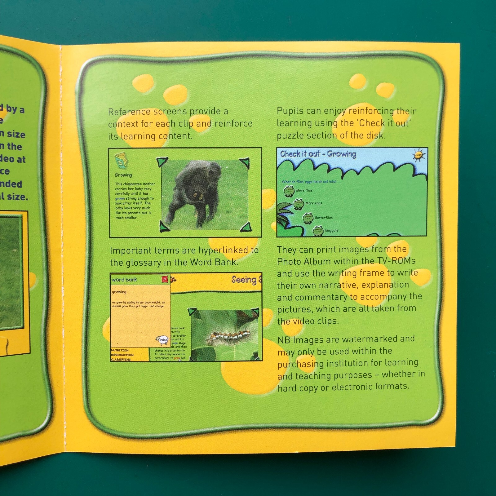 Seeing Science ANIMALS Children’s Educational TV CD-ROM 4Learning Mac/PC UK RARE