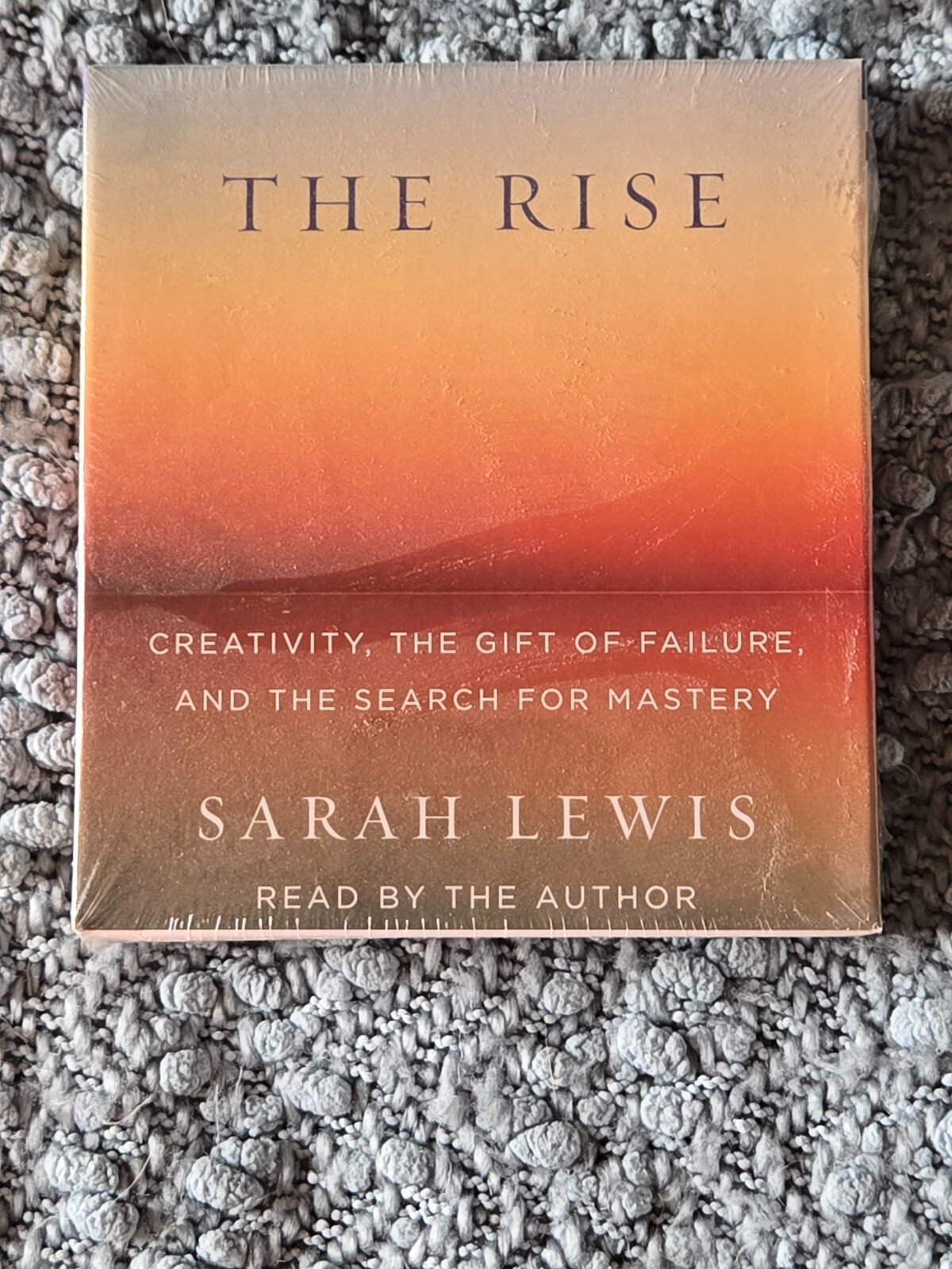 The Rise : Creativity, the Gift of Failure, and the Search for Mastery by Sarah