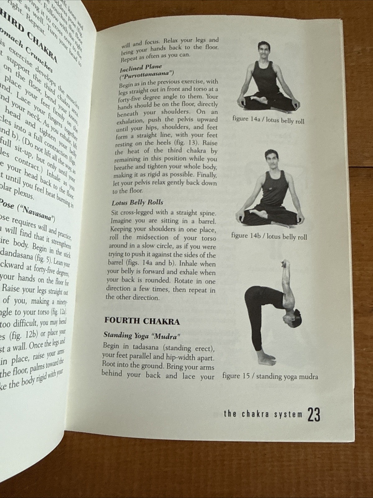 Chakra System : A Complete Course in Self-Diagnosis and Healing by Anodea Judith