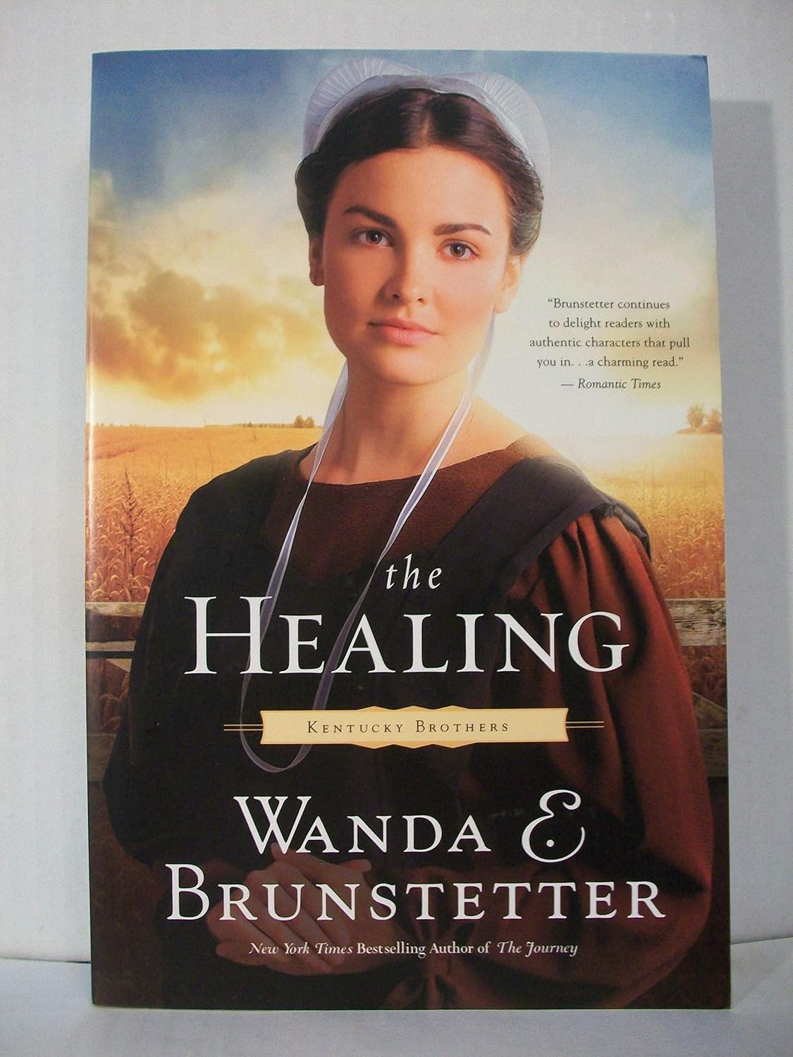 GOOD The Healing (Volume 2) (Kentucky Brothers) by Wanda E. Brunstetter 8 CD’s