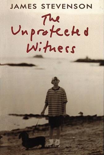 The Unprotected Witness — Hardcover By Stevenson, James — GOOD