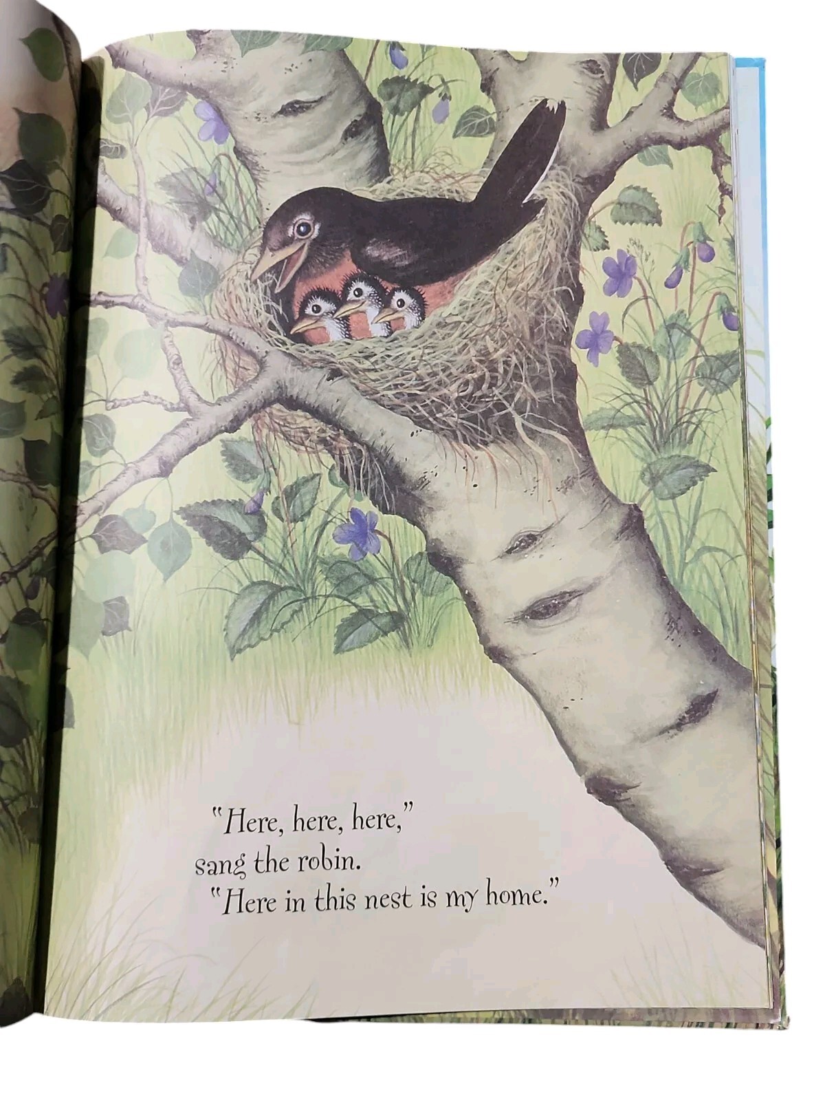 Home for a Bunny A Golden Lap Book by Margaret Wise Brown (Goodnight Moon) 1988
