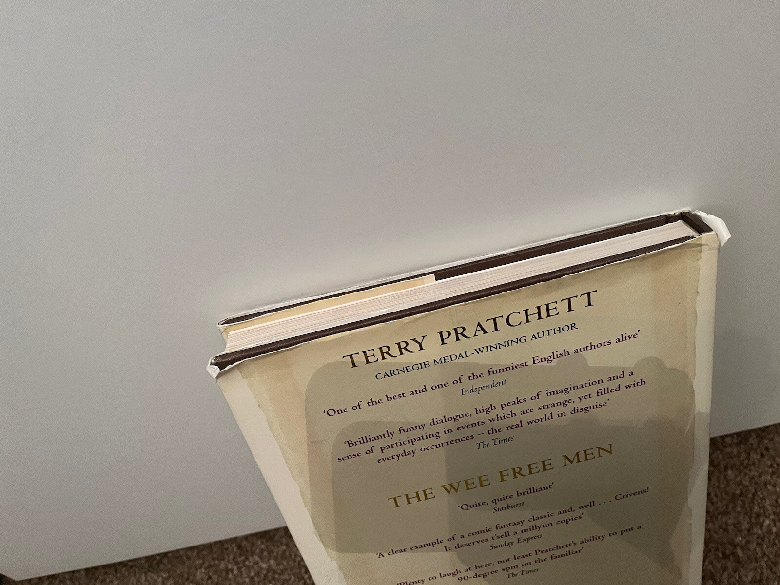 The Illustrated Wee Free Men Terry Pratchett 1st Edition — Stephen Player Rare