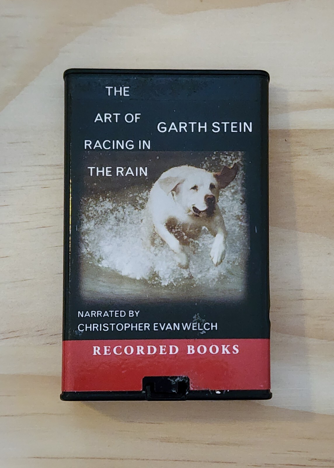 The Art of Racing in the Rain, Playaway Audio book by Garth Stein Used