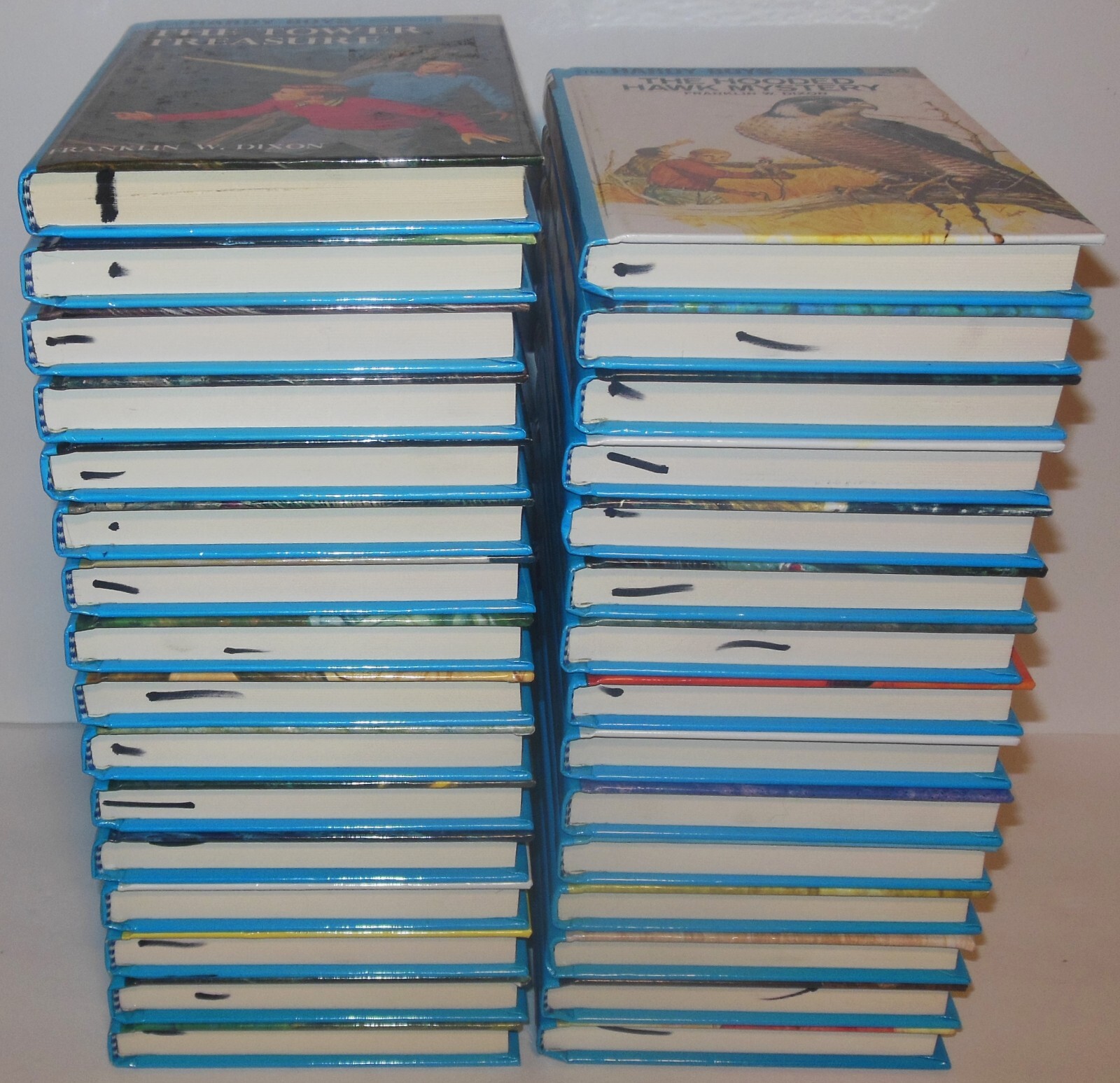 The Hardy Boys: (31) Franklin W. Dixon Flashlight Hardcover books FREE SHIPPING