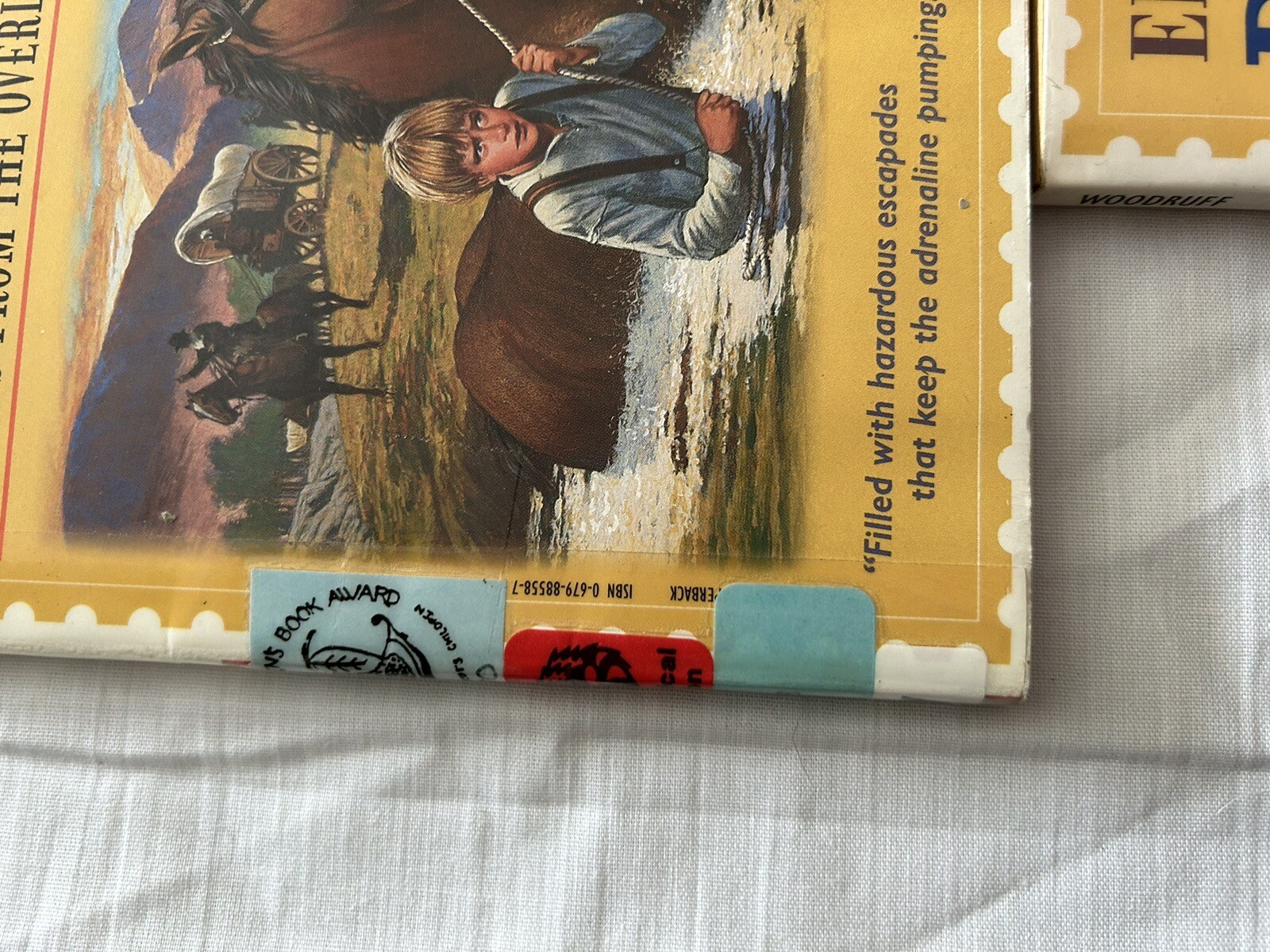 5 Guided Reading Literature Circle Books Dear Levi Oregon Trail