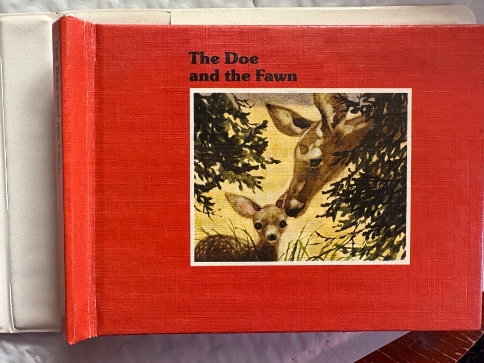 The Doe and the Fawn by Bill Martin (Cassette/Book ex-library 1979)
