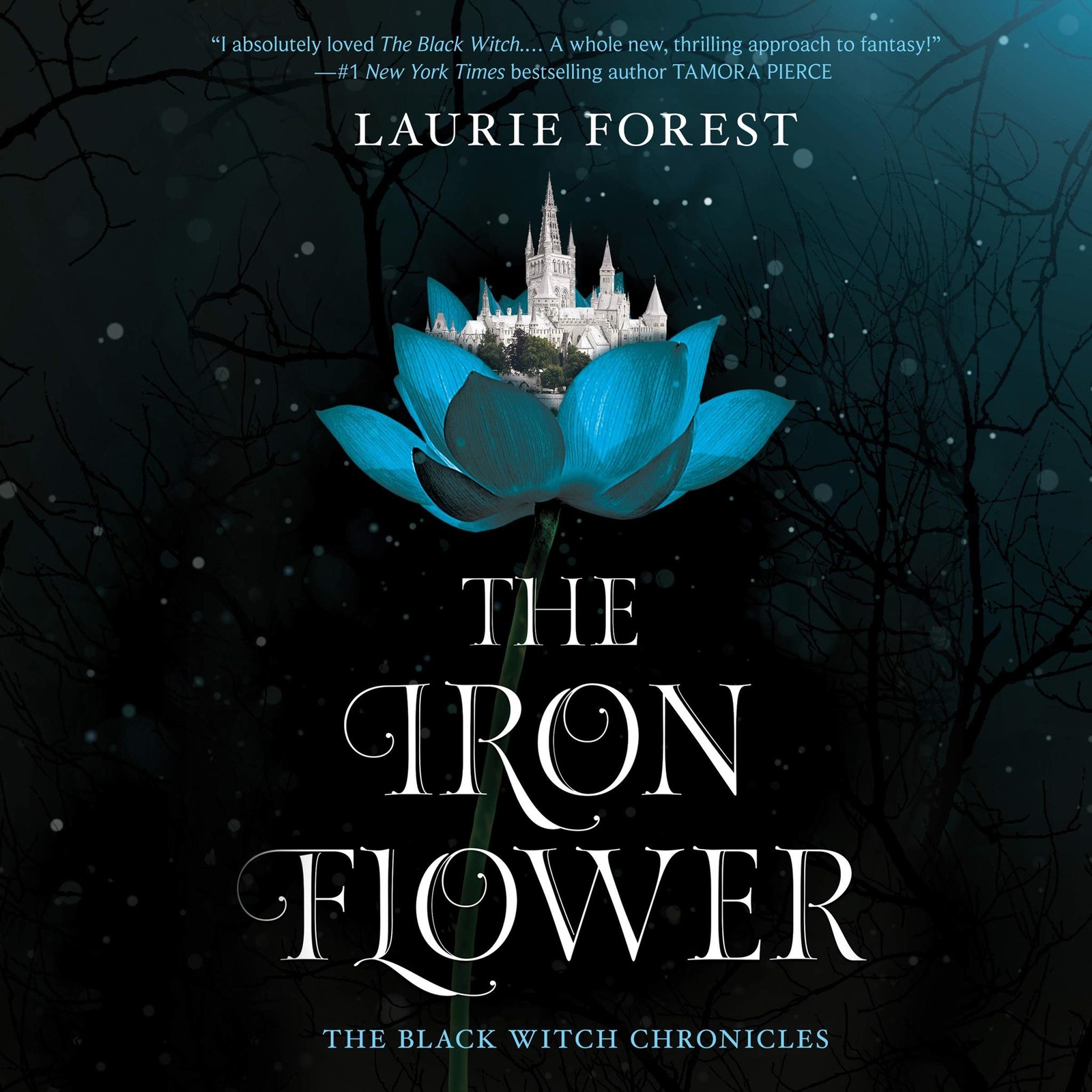 The Iron Flower (Black Witch Chronicles)
