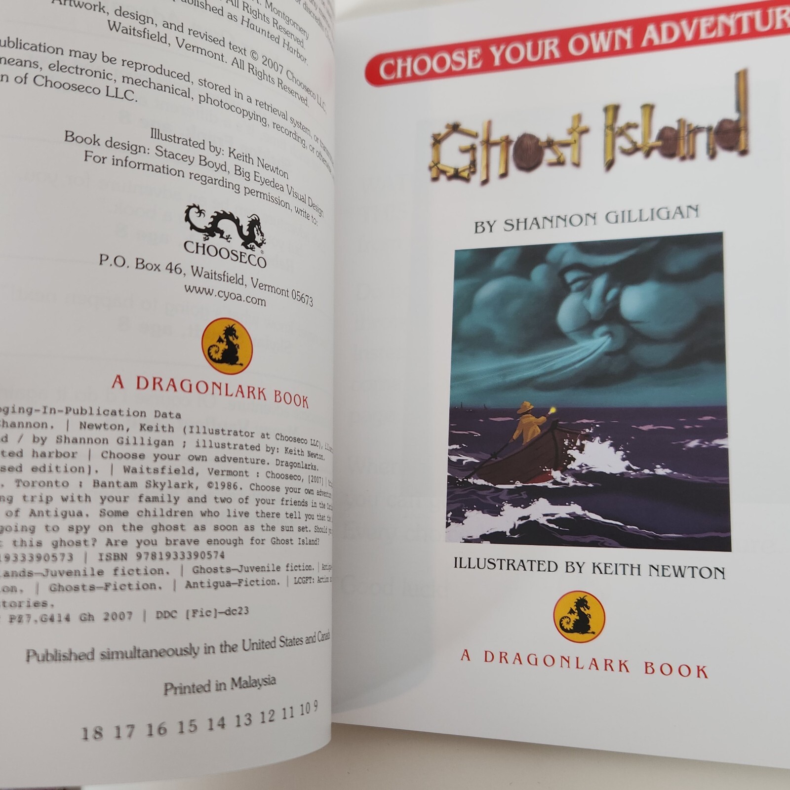 Choose Your Own Adventure Ghost Island Owl Tree Dragonlark Books CYOA Early Read