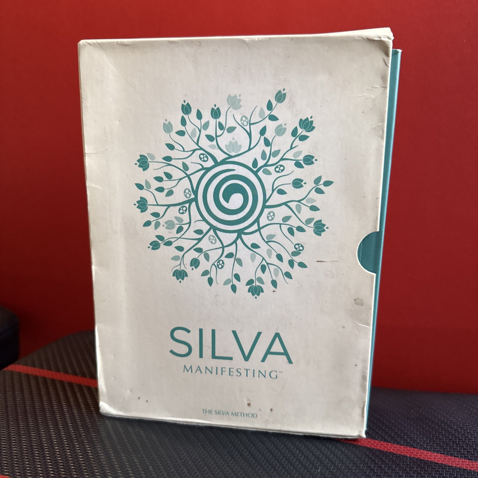 Silva Life System 11 CDs -Silva Method Lauren Silva Quesada Mindvalley Missing 2