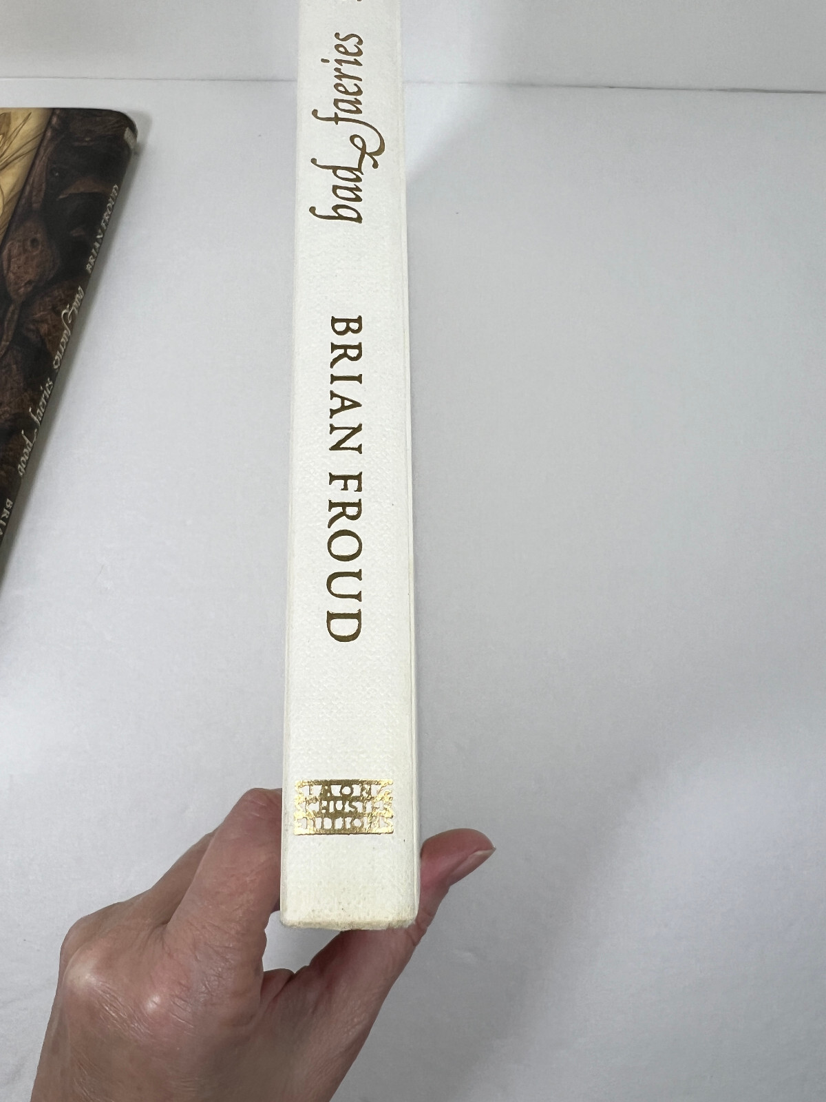 PREOWNED Good Faeries/Bad Faeries Hardcover