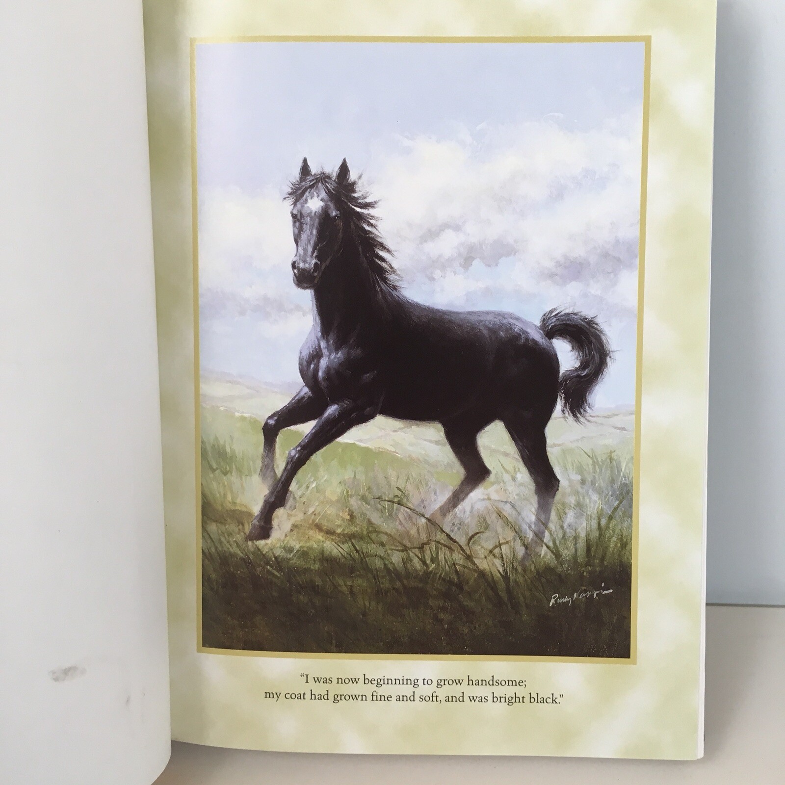 Black Beauty by Anna Sewell ***Free Shipping/Each Added Hardcover/TPB/PB