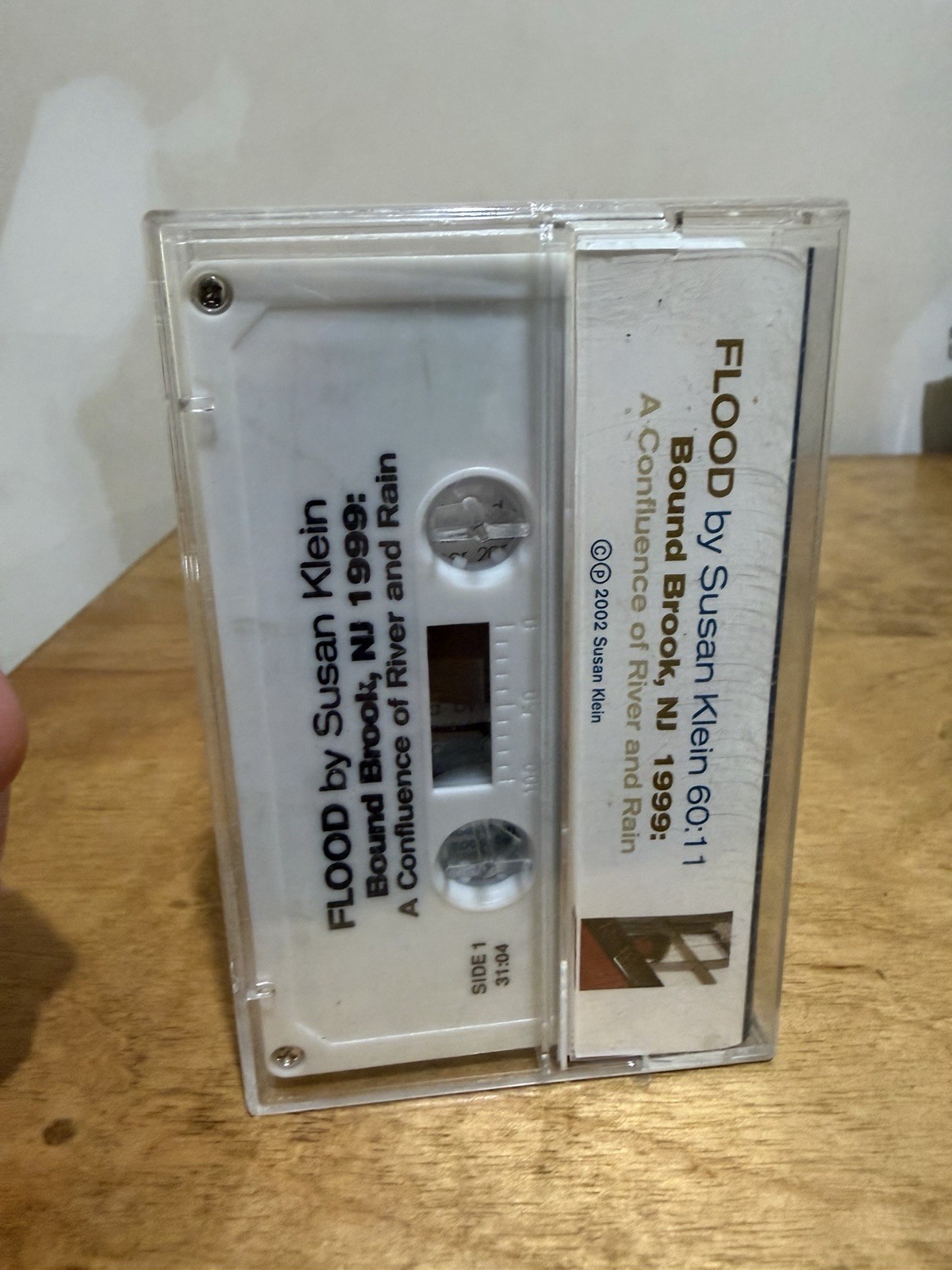 Flood by Susan Klein Bound Brook, NJ 1999 River & Rain Cassette Audiobook