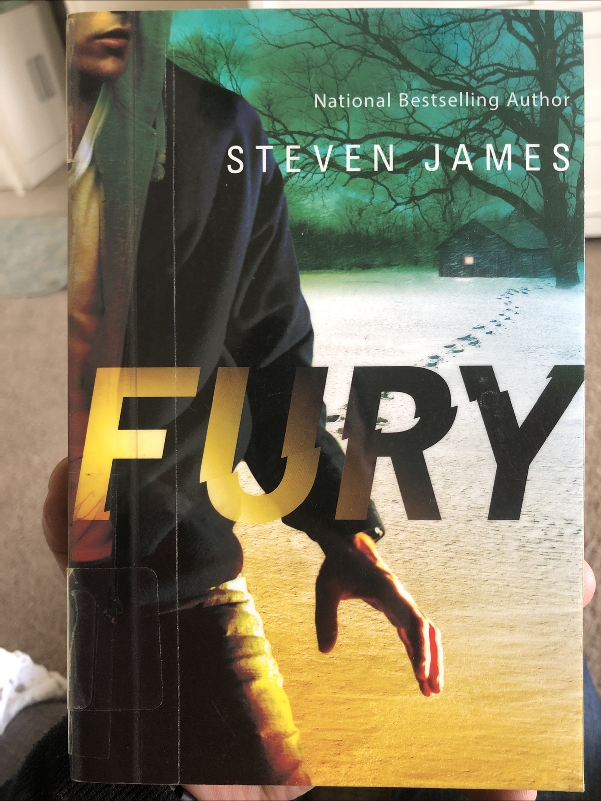 Blur Trilogy Ser.: Fury by Steven James (2015, Trade Paperback)