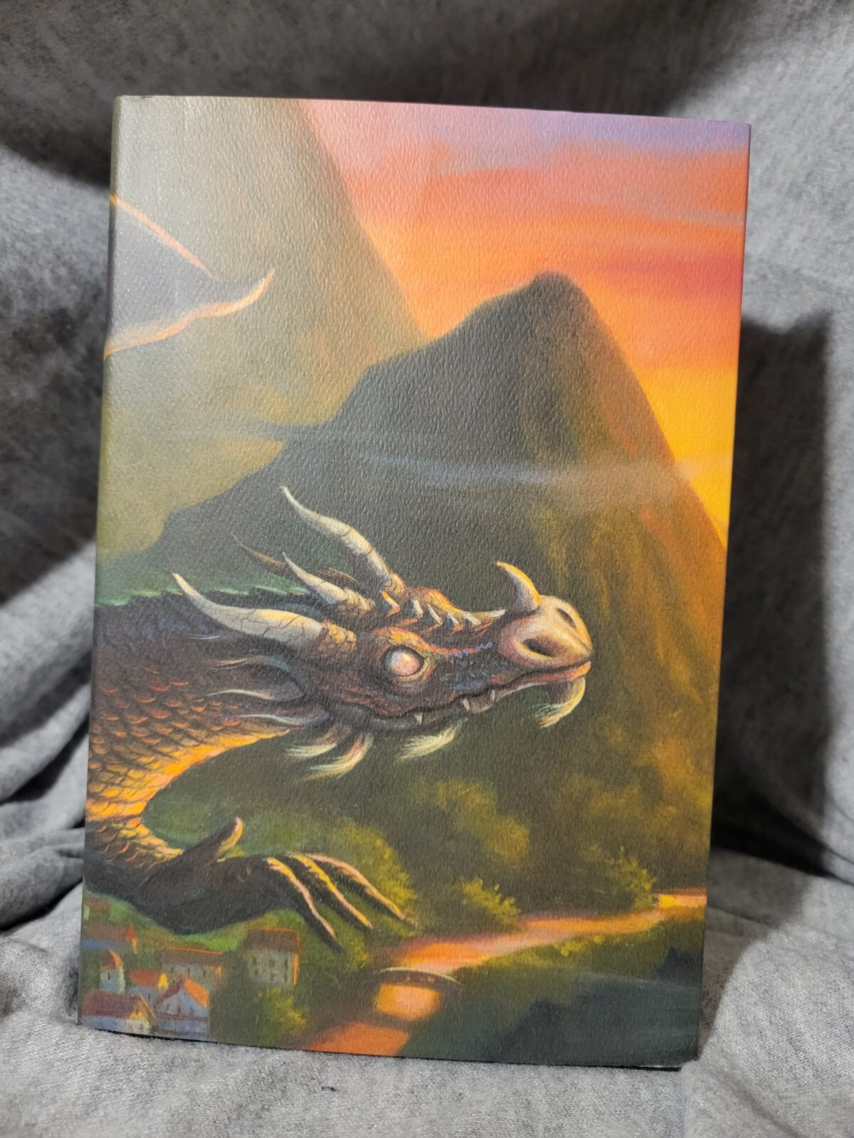 Harry Potter and the Deathly Hallows HC 2007 Special Edition Slipcase Art