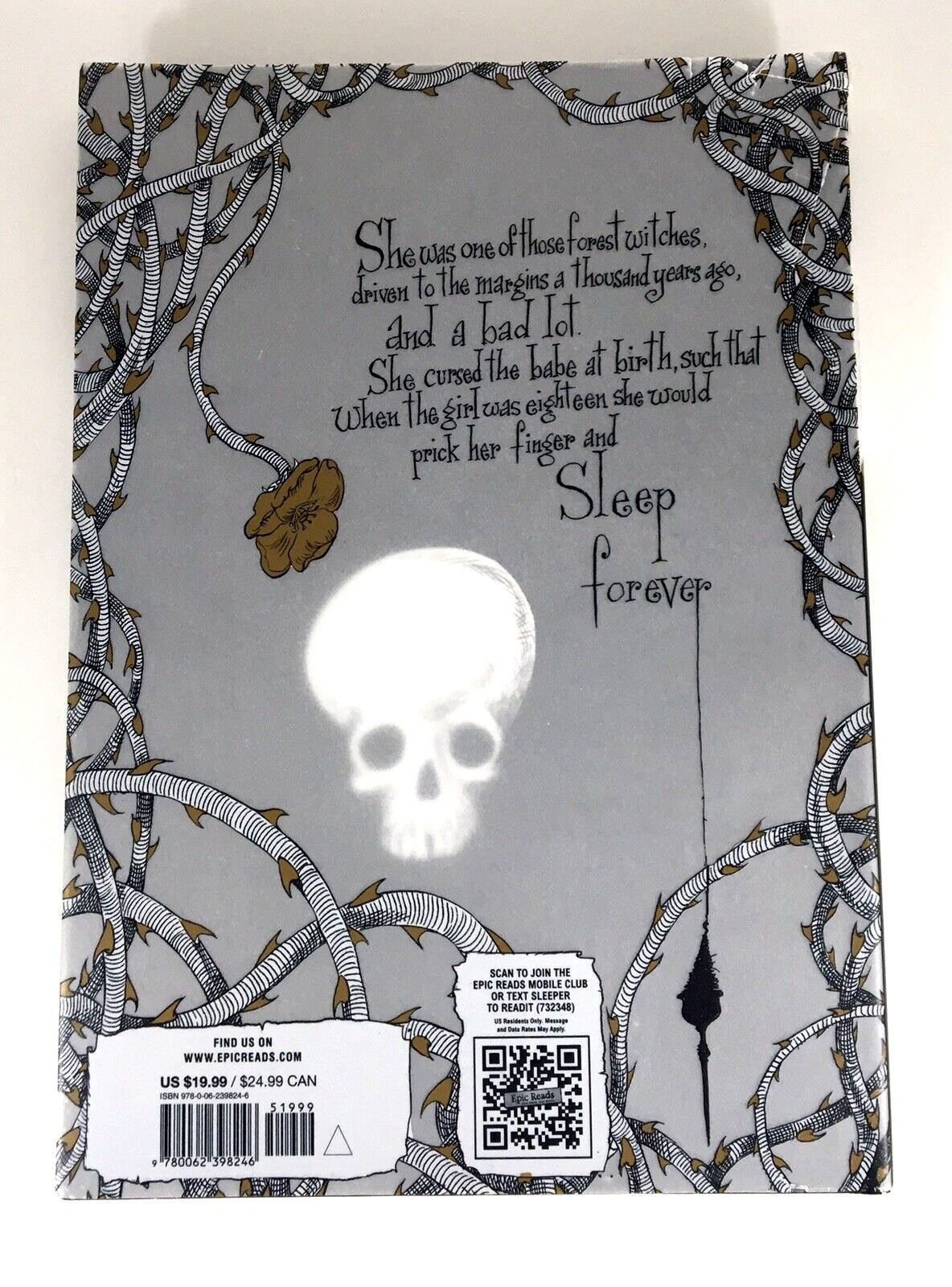 Fantasy Hardcover DJ Gaimen Riddell The Sleeper and the Spindle 1st US Ed 2015