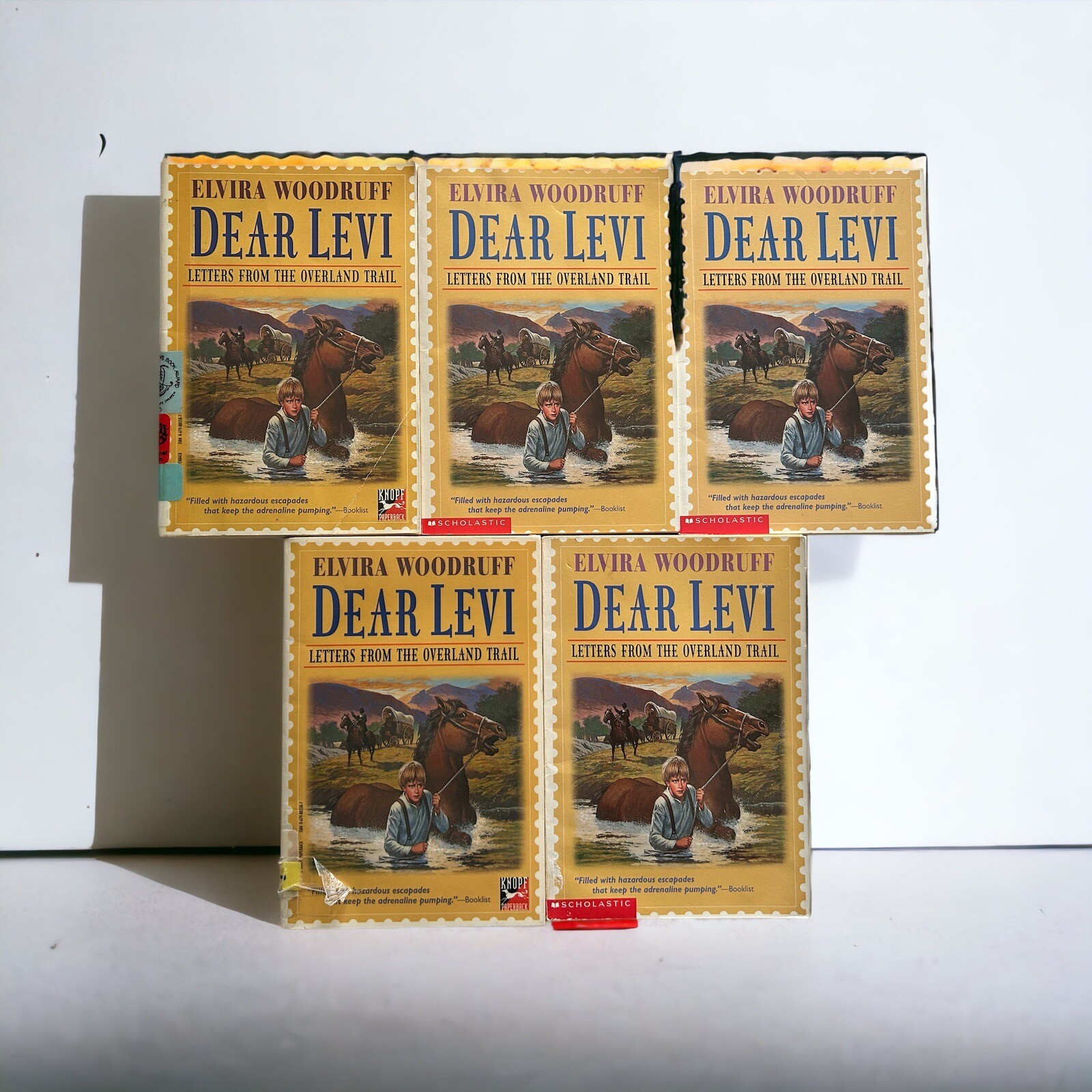 5 Guided Reading Literature Circle Books Dear Levi Oregon Trail