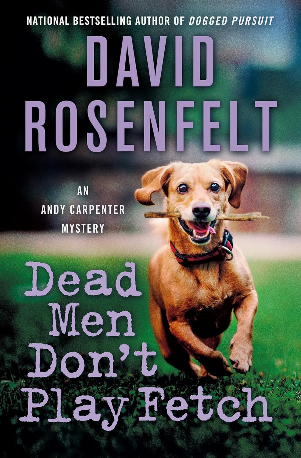 Dead Men Don’t Play Fetch: An Andy Carpenter Mystery Compact Disc