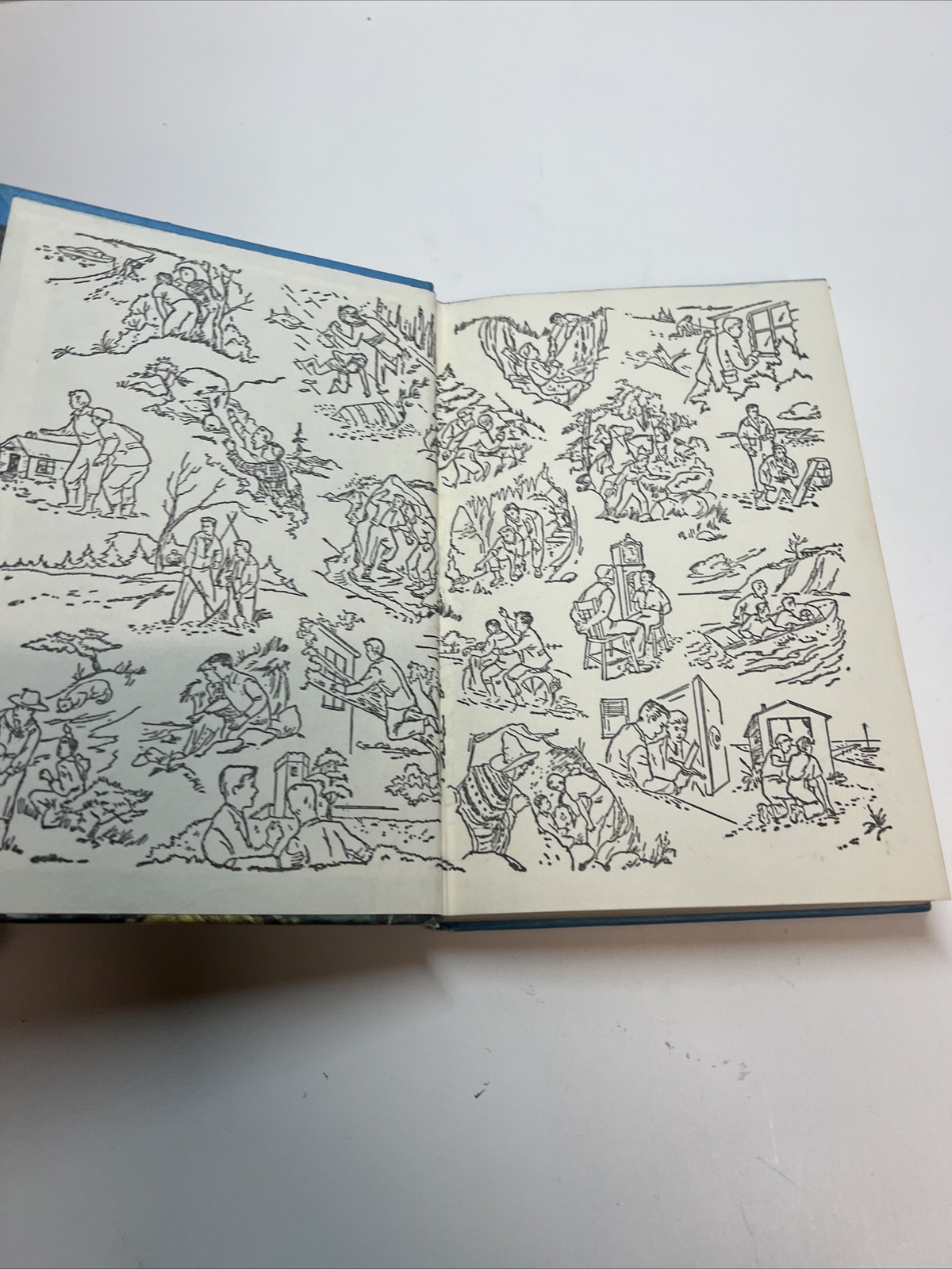 The Viking Symbol Mystery︱#42︱1963︱The Hardy Boys︱Vintage Hardback Book