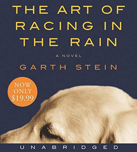 The Art of Racing in the Rain, Stein, Garth