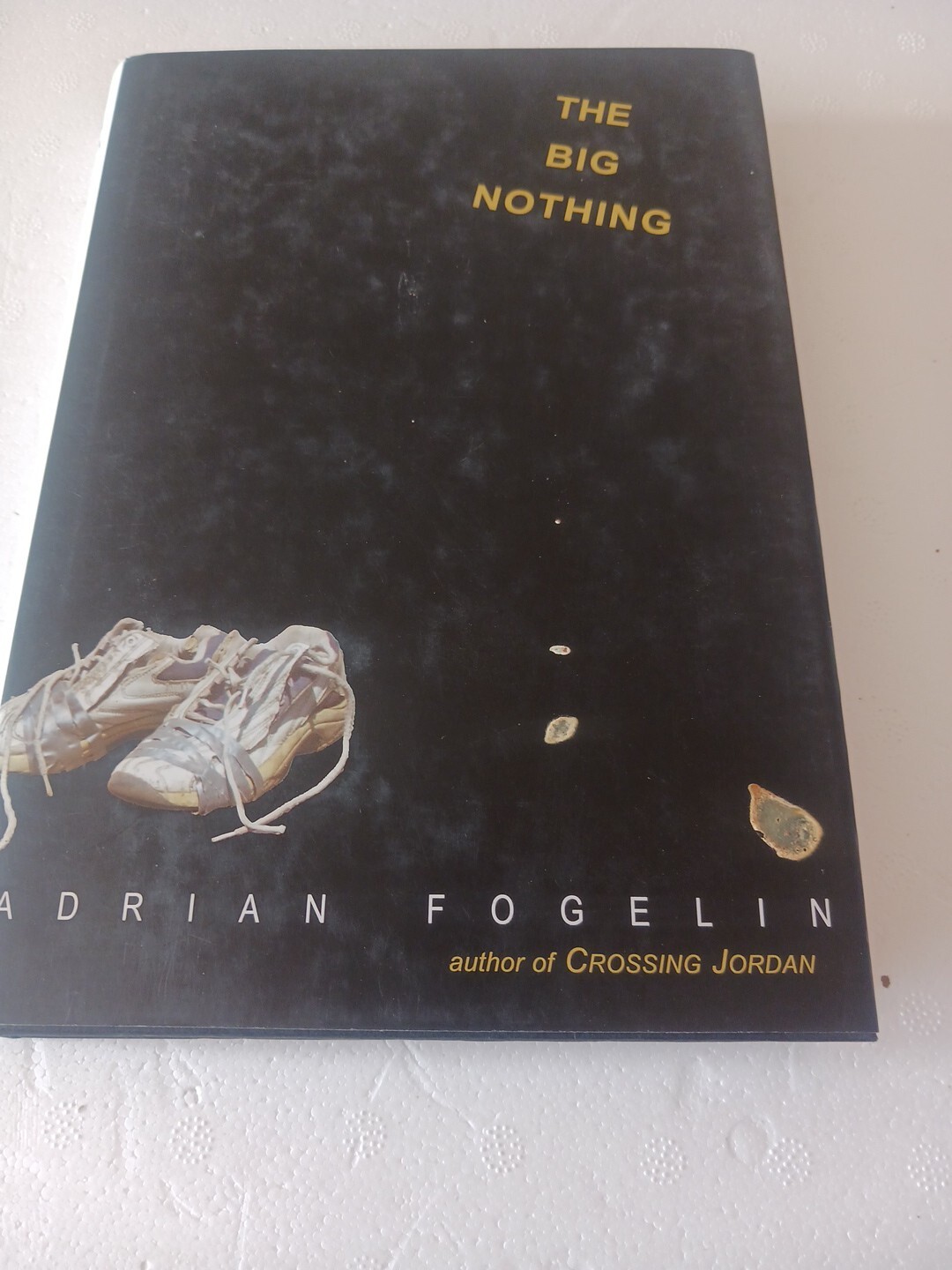 The Big Nothing by Adrian Fogelin (2004, Hardcover)FIRST EDITION