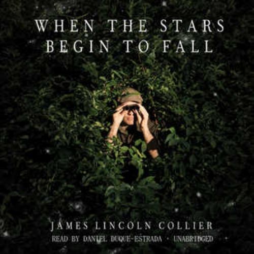 When the Stars Begin to Fall (AUDIO CD)