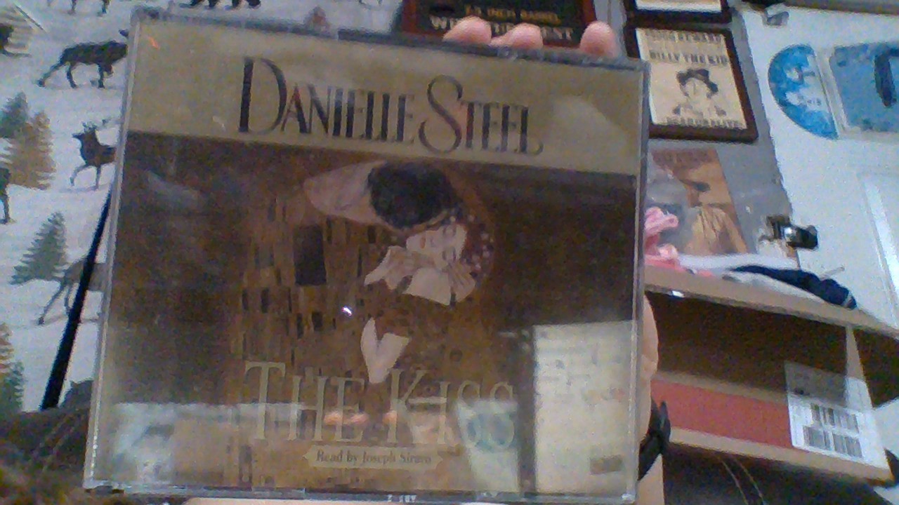 Danielle Steel The Kiss Audio Book
