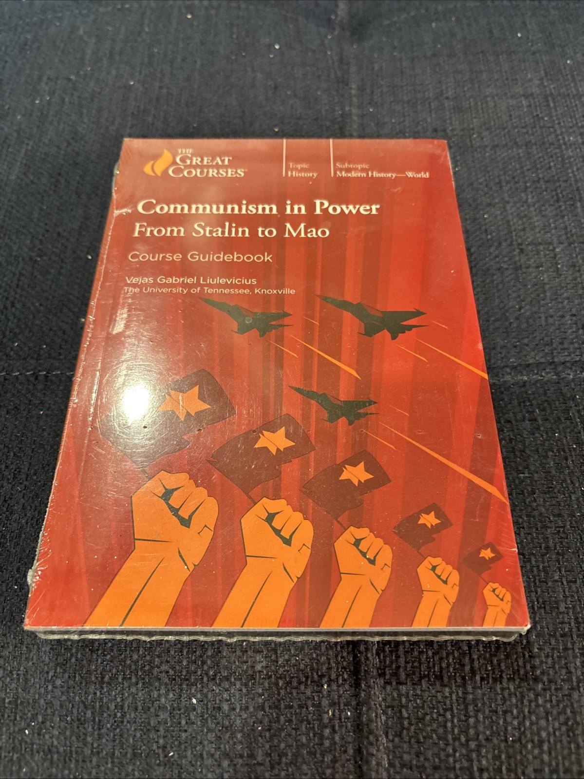 DVD Communism in Power : From Stalin to Mao by Vejas Gabriel Liulevicius Sealed