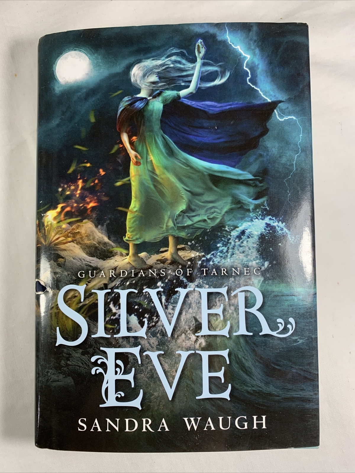Silver Eve by Sandra Waugh HC/DJ First Edition