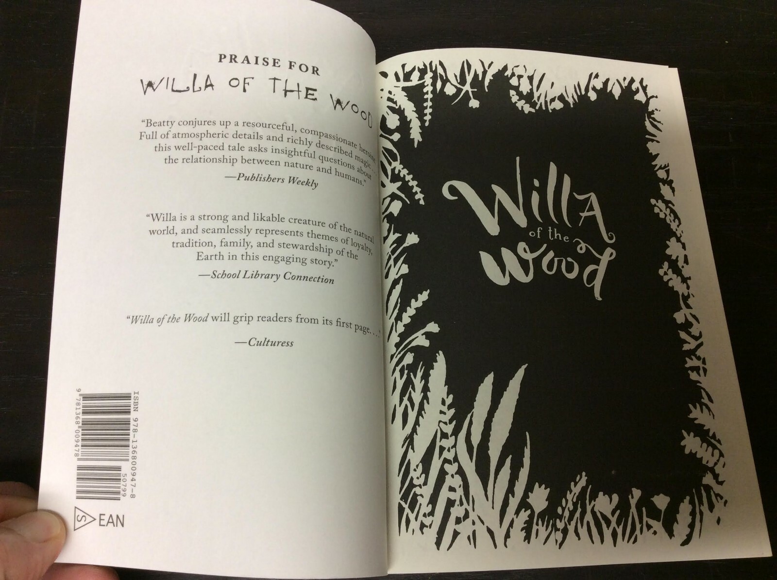 Willa of the Wood (Willa of the Wood, Book 1) by Beatty, Robert 2018 Paperback