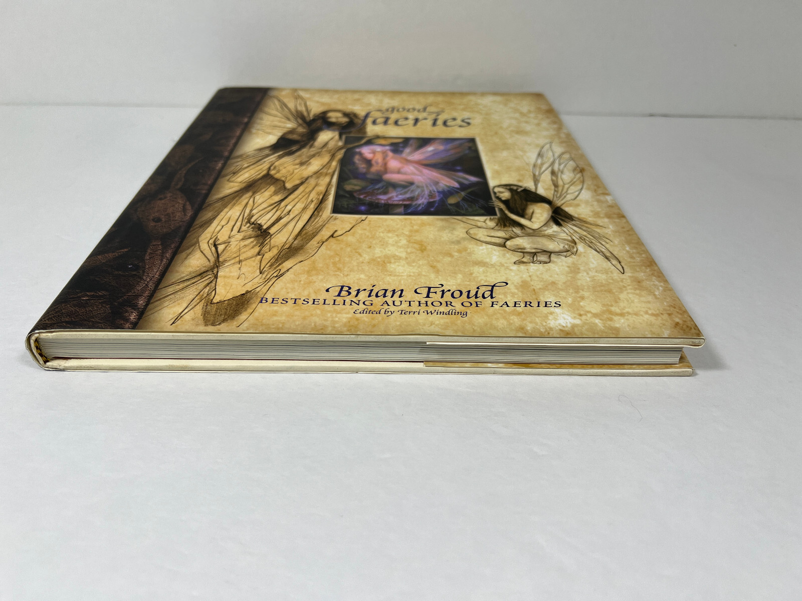 PREOWNED Good Faeries/Bad Faeries Hardcover