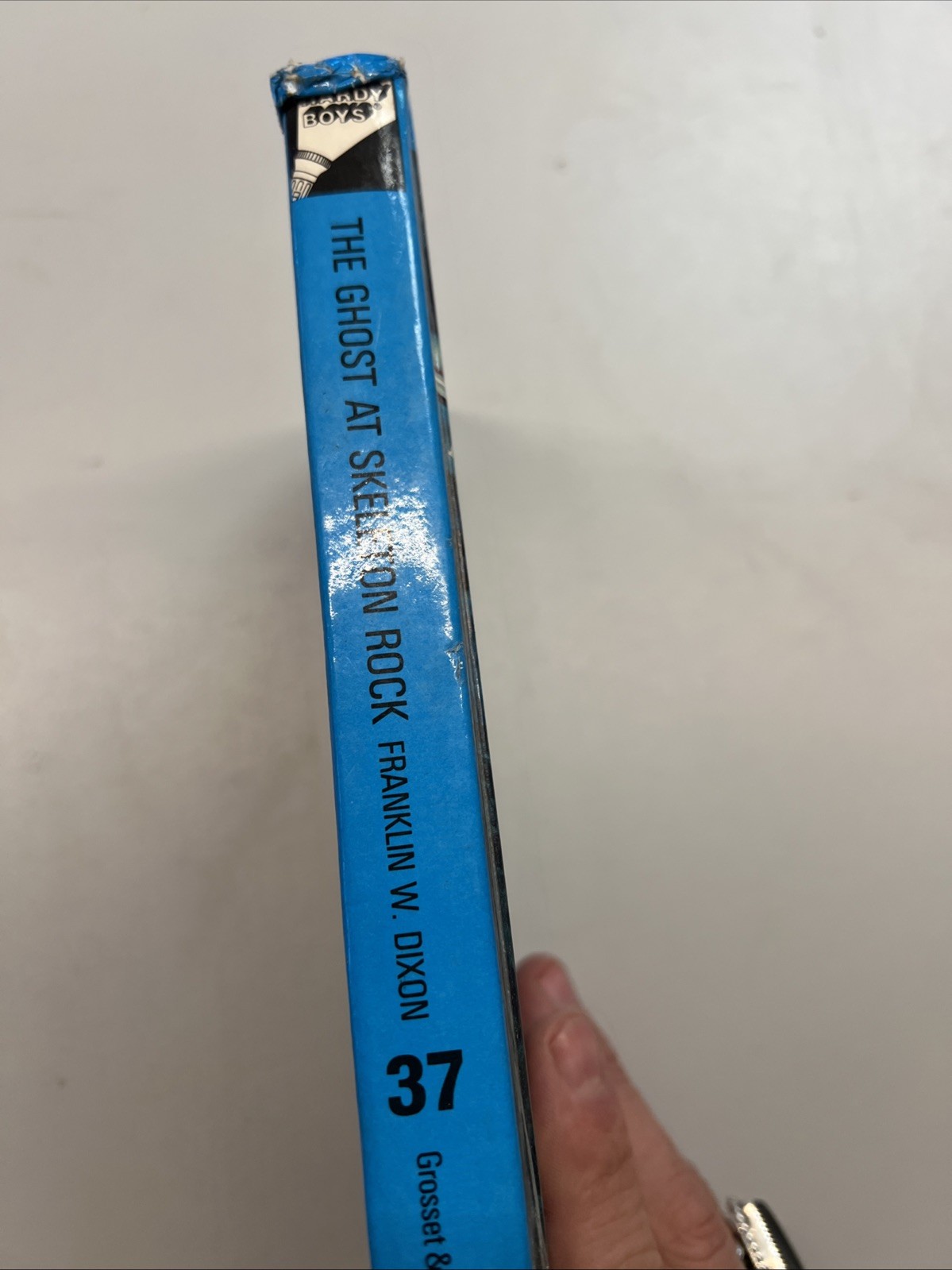 The Ghost at Skeleton Rock (Hardy Boys, Book 37)