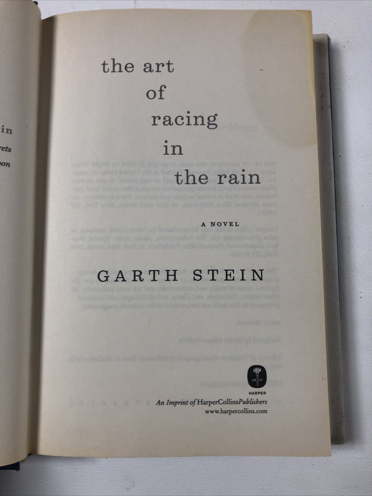 The Art of Racing in the Rain — Garth Stein (2008, Hardcover, Dust Jacket)