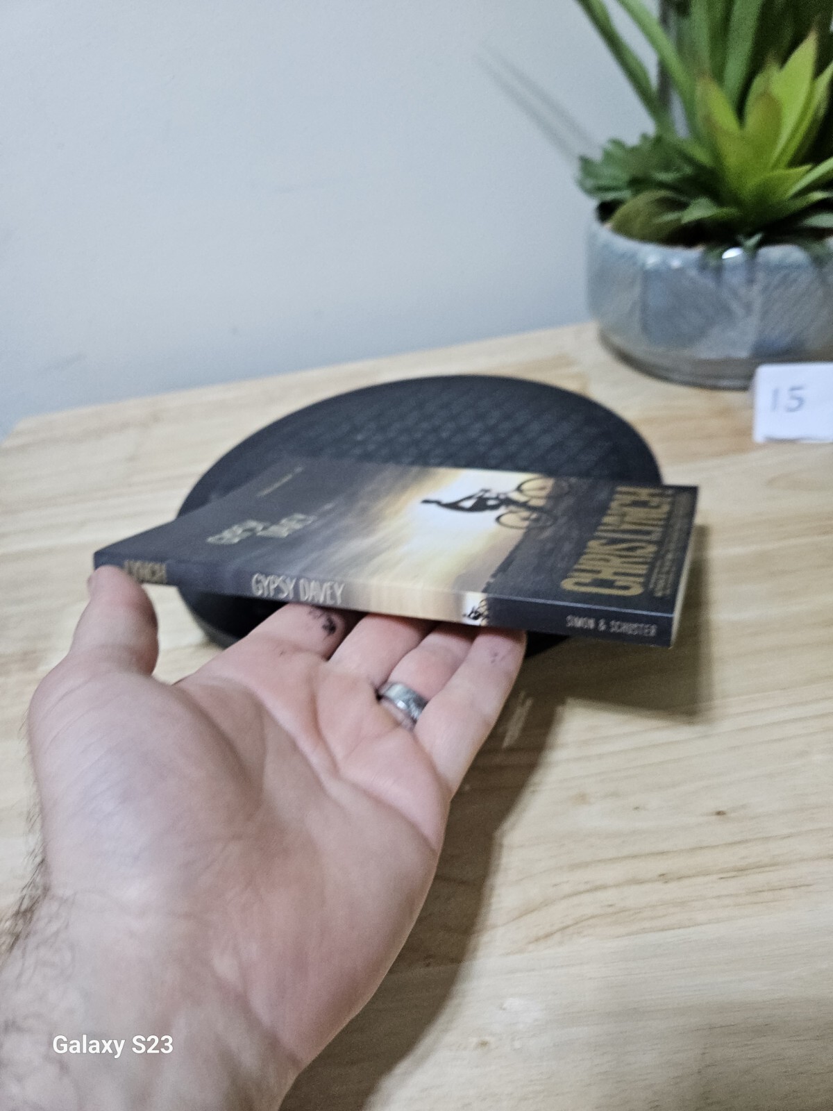 GYPSY DAVEY By Chris Lynch 2014 Paperback