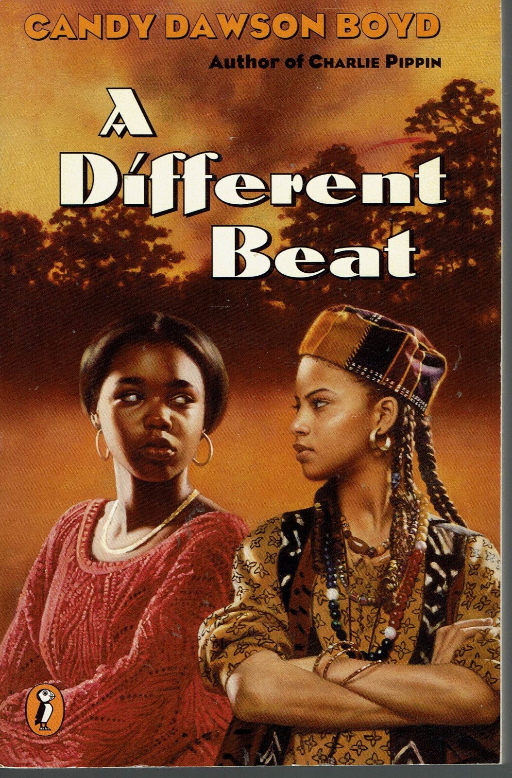 A Different Beat 1996 Paperback Middle School