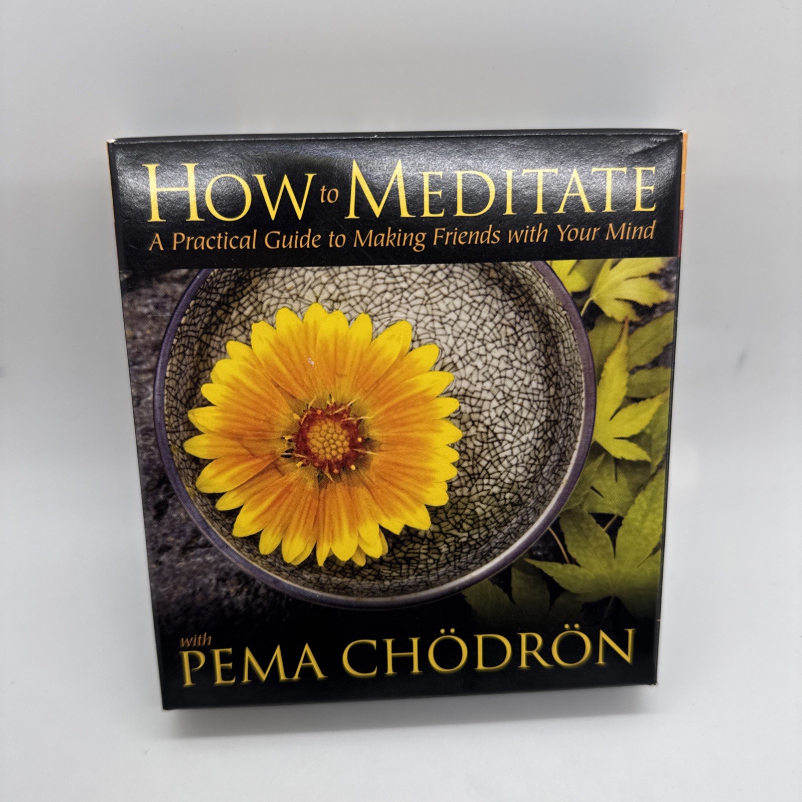 How to Meditate A Practical Guide Tibetan Buddhism 5 CDs Pema Chodron NEW